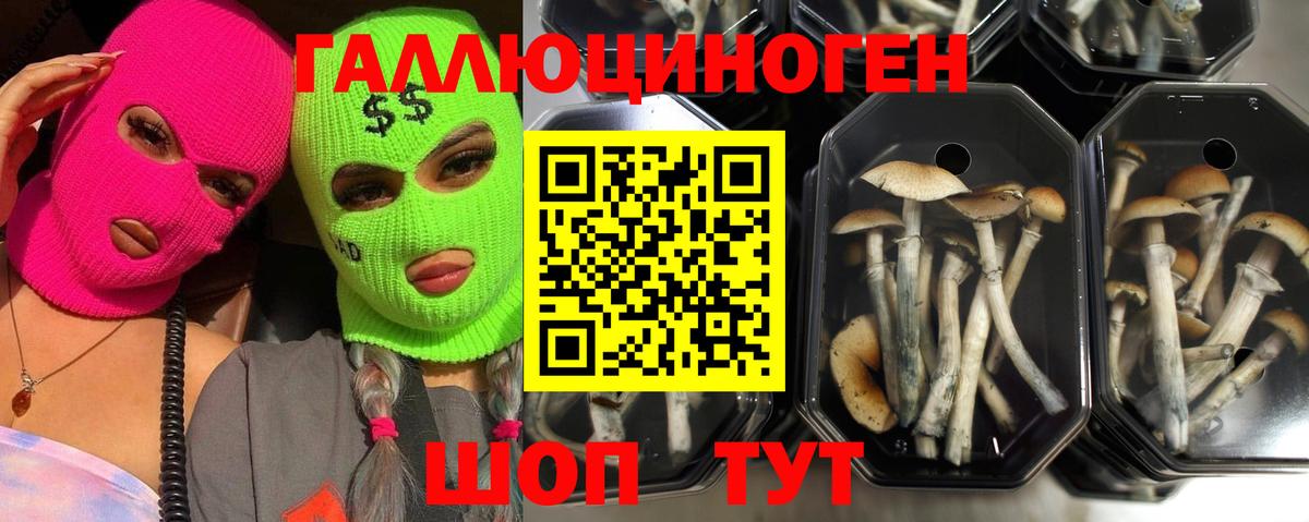 Псилоцибиновые грибы мухоморы Тихвин