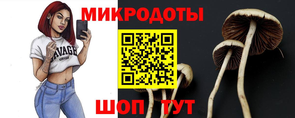 Галлюциногенные грибы Magic Shrooms  Вход с VPN  Тихвин 